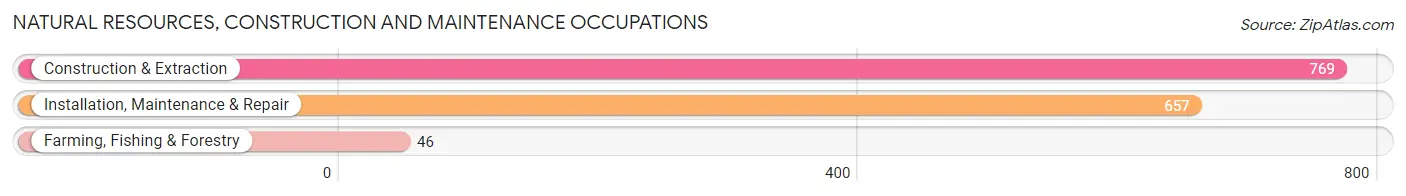 Natural Resources, Construction and Maintenance Occupations in Glendale Heights