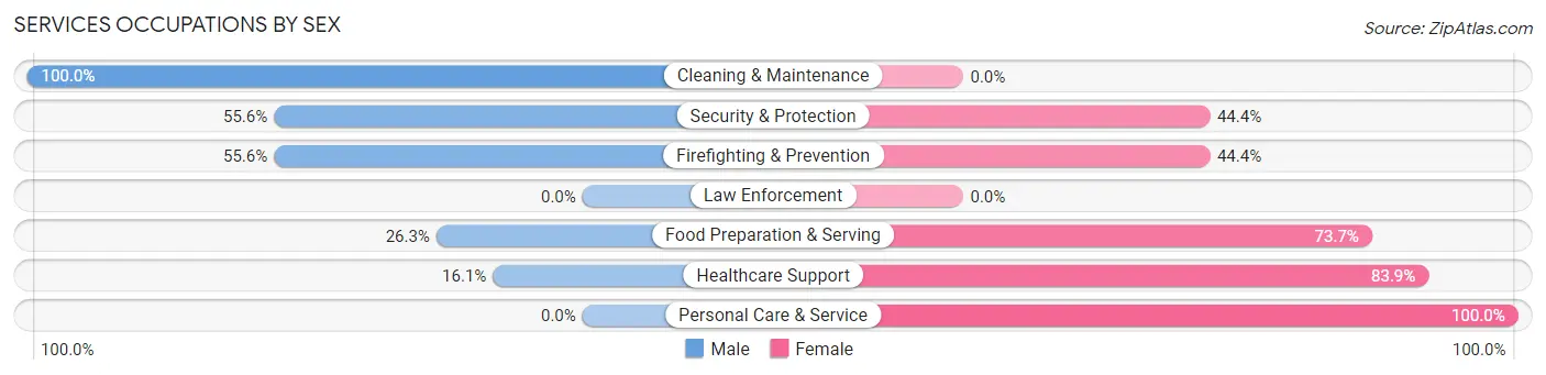 Services Occupations by Sex in Godley