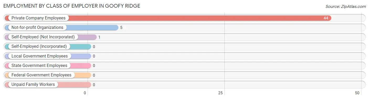 Employment by Class of Employer in Goofy Ridge