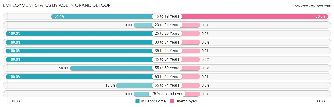 Employment Status by Age in Grand Detour