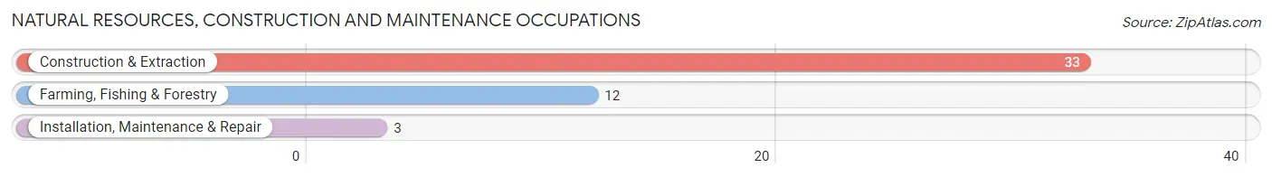 Natural Resources, Construction and Maintenance Occupations in Grand Ridge