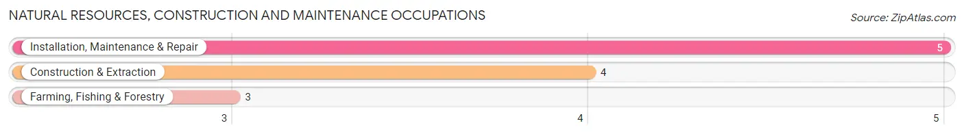 Natural Resources, Construction and Maintenance Occupations in Grand Tower