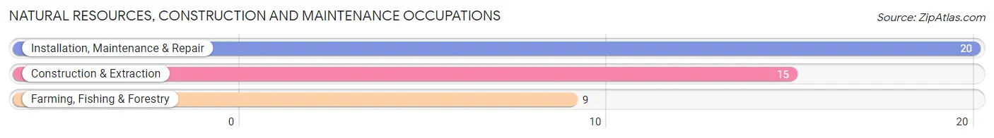 Natural Resources, Construction and Maintenance Occupations in Grandview