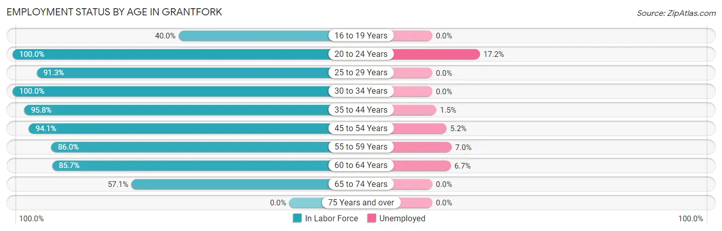 Employment Status by Age in Grantfork