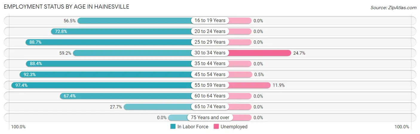Employment Status by Age in Hainesville
