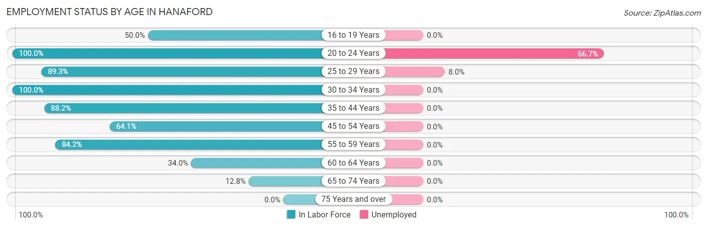 Employment Status by Age in Hanaford