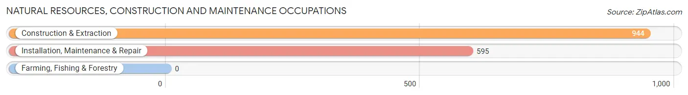 Natural Resources, Construction and Maintenance Occupations in Hanover Park