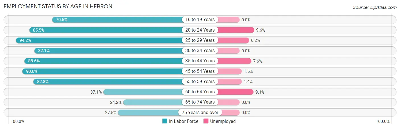 Employment Status by Age in Hebron
