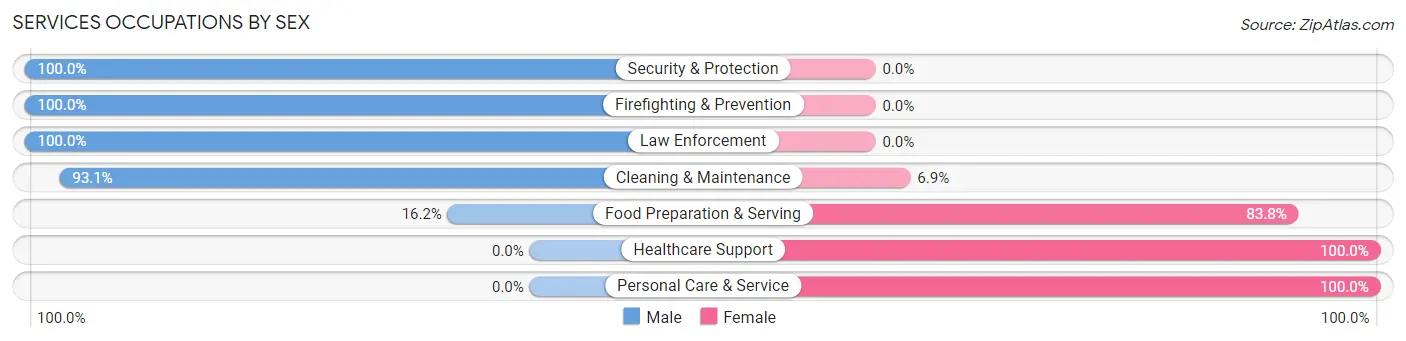Services Occupations by Sex in Hennepin