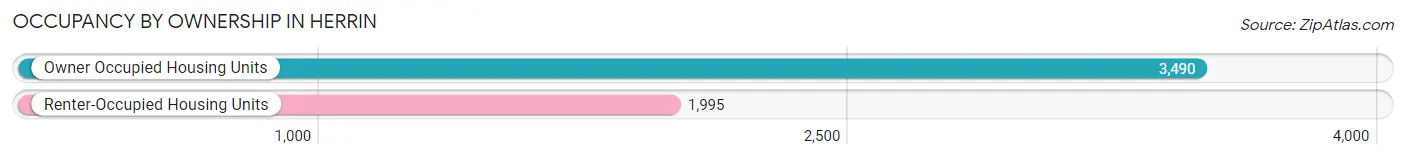 Occupancy by Ownership in Herrin