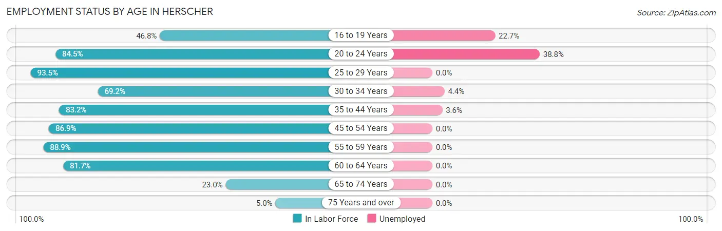 Employment Status by Age in Herscher