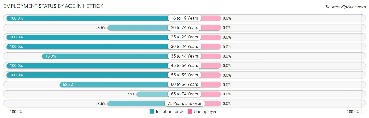 Employment Status by Age in Hettick