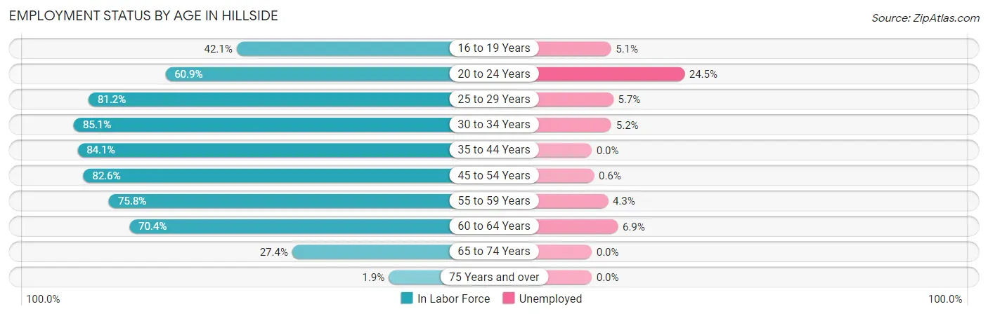 Employment Status by Age in Hillside