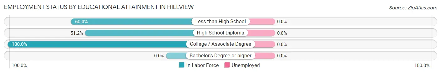 Employment Status by Educational Attainment in Hillview