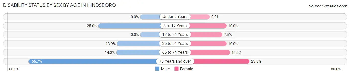 Disability Status by Sex by Age in Hindsboro