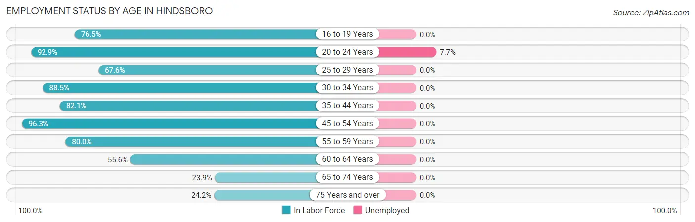 Employment Status by Age in Hindsboro
