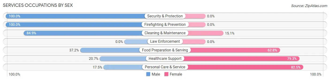 Services Occupations by Sex in Hinsdale