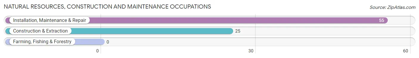 Natural Resources, Construction and Maintenance Occupations in Holiday Hills