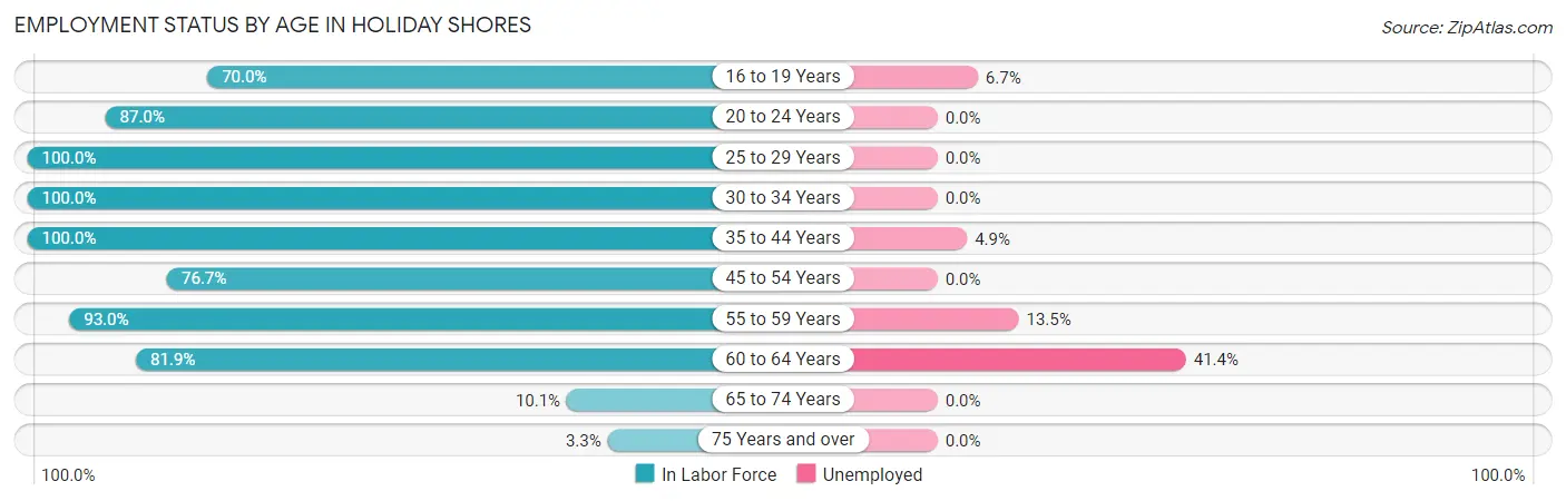 Employment Status by Age in Holiday Shores