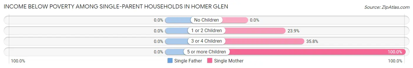 Income Below Poverty Among Single-Parent Households in Homer Glen