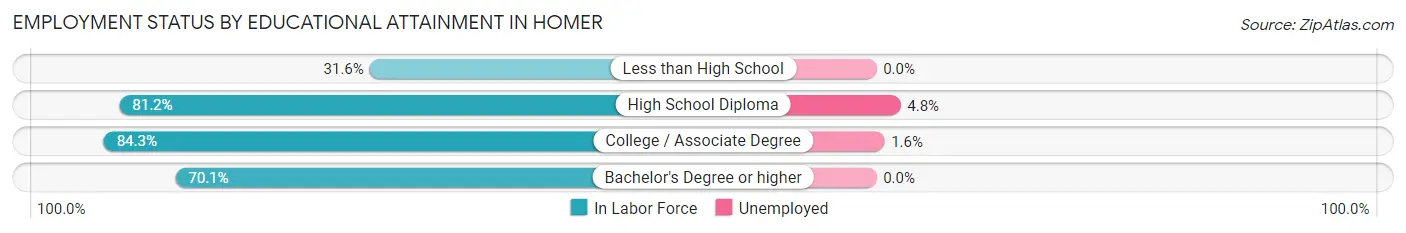 Employment Status by Educational Attainment in Homer