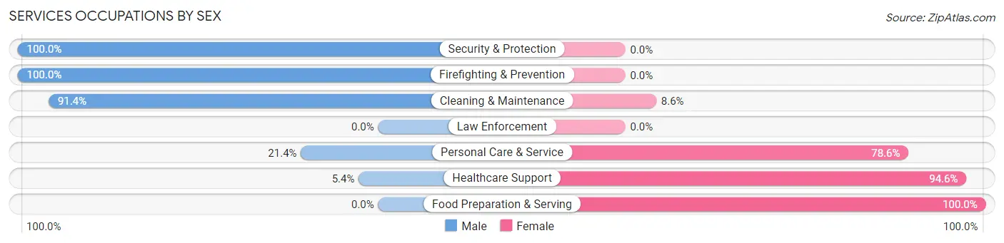 Services Occupations by Sex in Homer