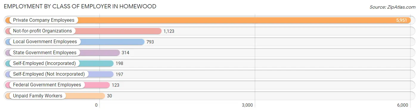 Employment by Class of Employer in Homewood