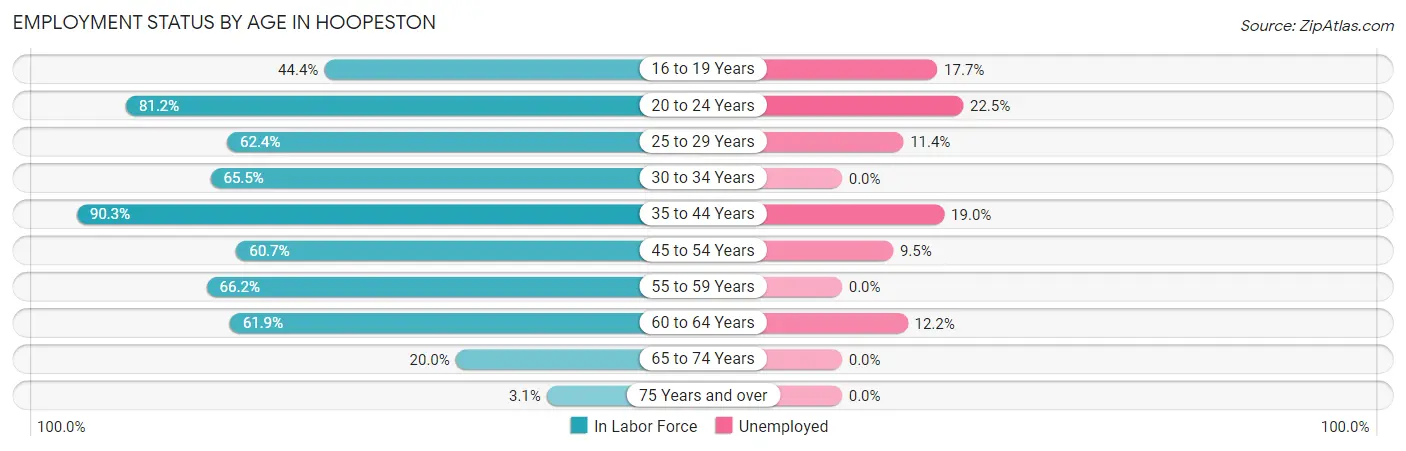 Employment Status by Age in Hoopeston