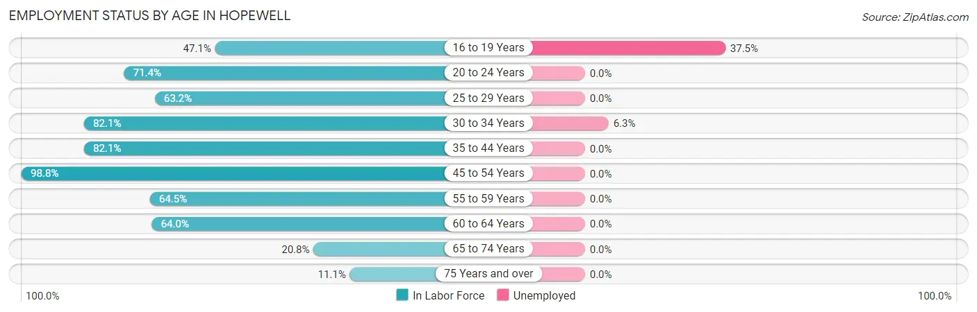 Employment Status by Age in Hopewell
