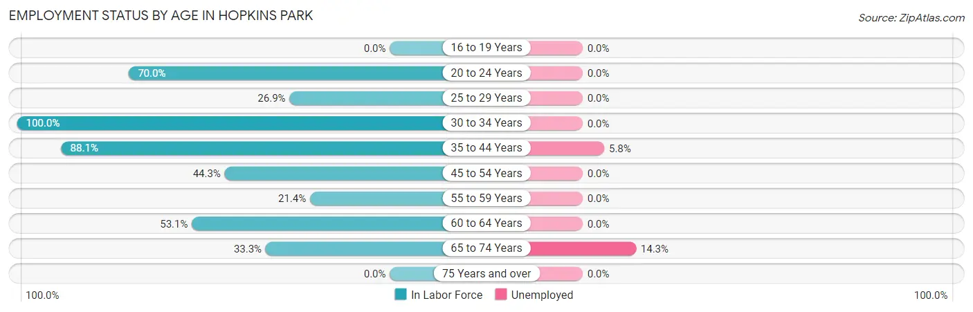 Employment Status by Age in Hopkins Park