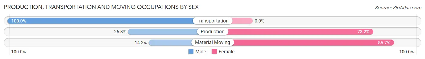Production, Transportation and Moving Occupations by Sex in Hopkins Park