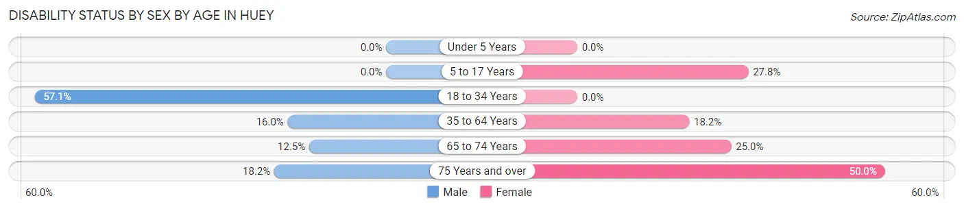 Disability Status by Sex by Age in Huey