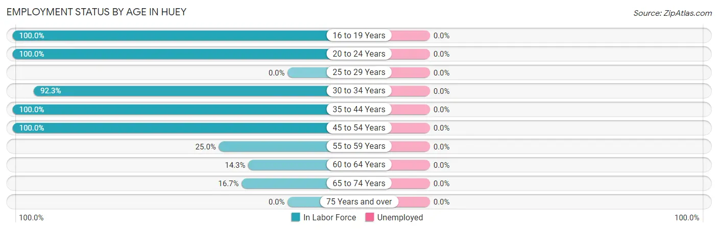Employment Status by Age in Huey