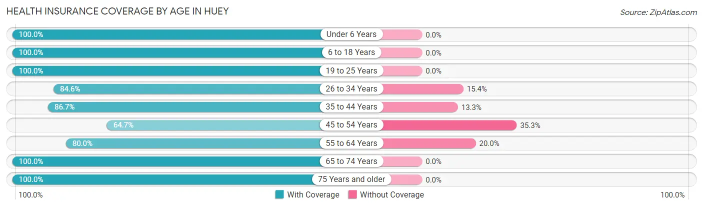 Health Insurance Coverage by Age in Huey