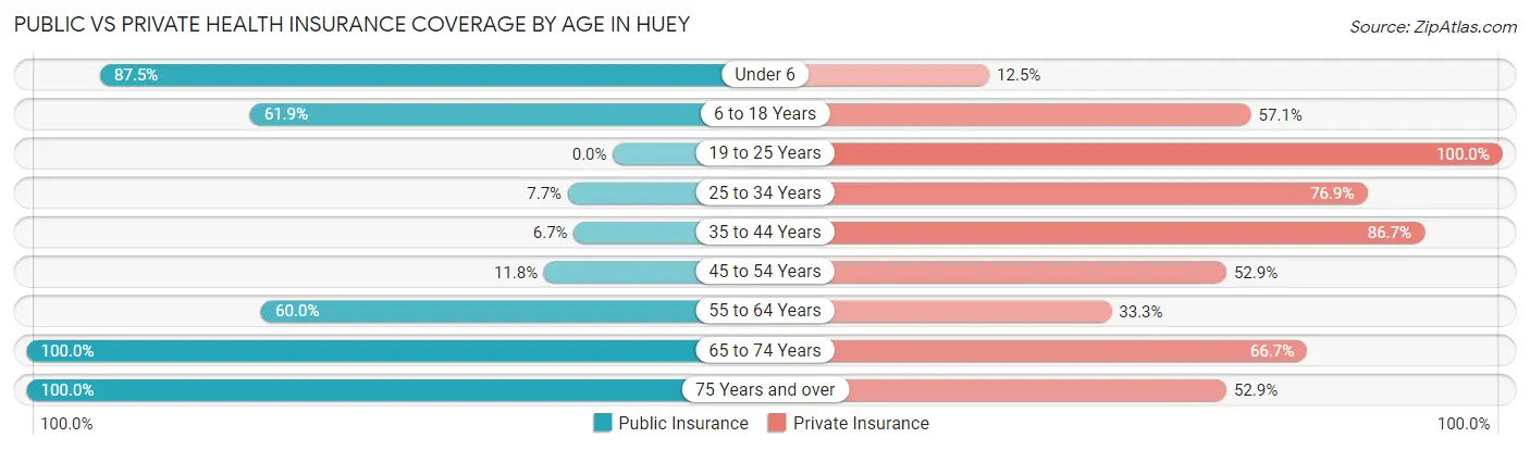 Public vs Private Health Insurance Coverage by Age in Huey