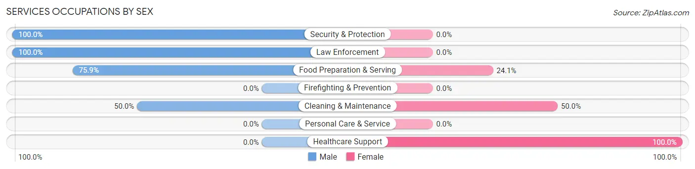 Services Occupations by Sex in Hutsonville