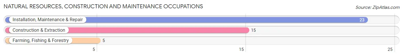 Natural Resources, Construction and Maintenance Occupations in Illiopolis