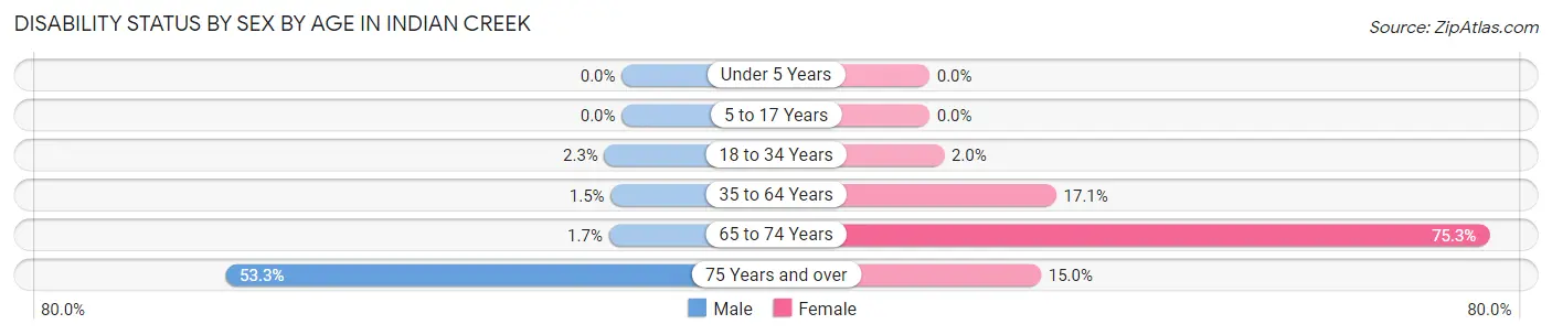 Disability Status by Sex by Age in Indian Creek