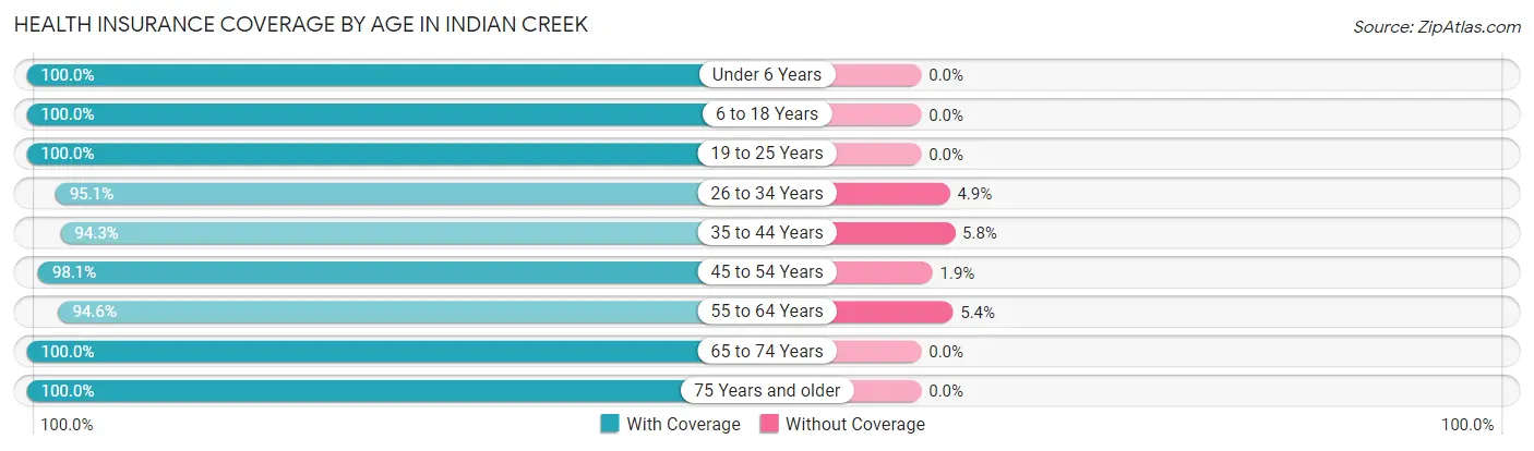 Health Insurance Coverage by Age in Indian Creek