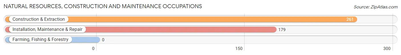 Natural Resources, Construction and Maintenance Occupations in Island Lake