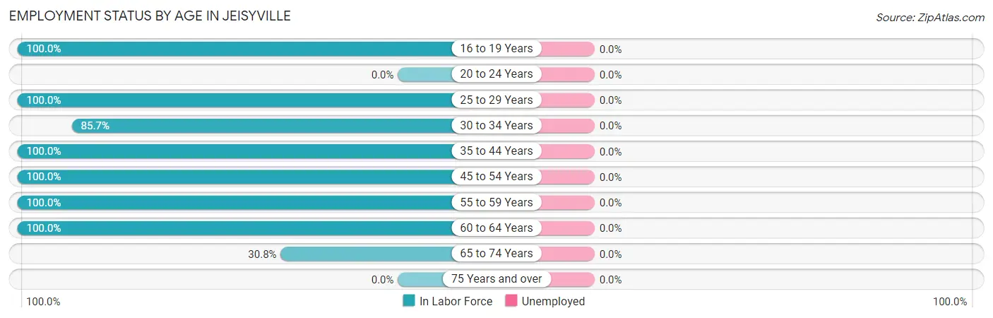 Employment Status by Age in Jeisyville