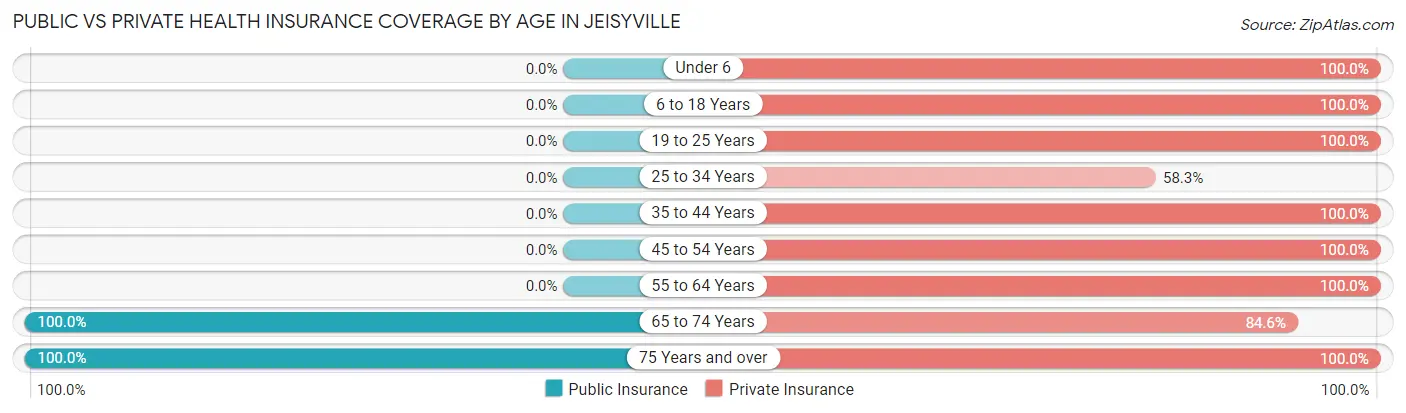 Public vs Private Health Insurance Coverage by Age in Jeisyville