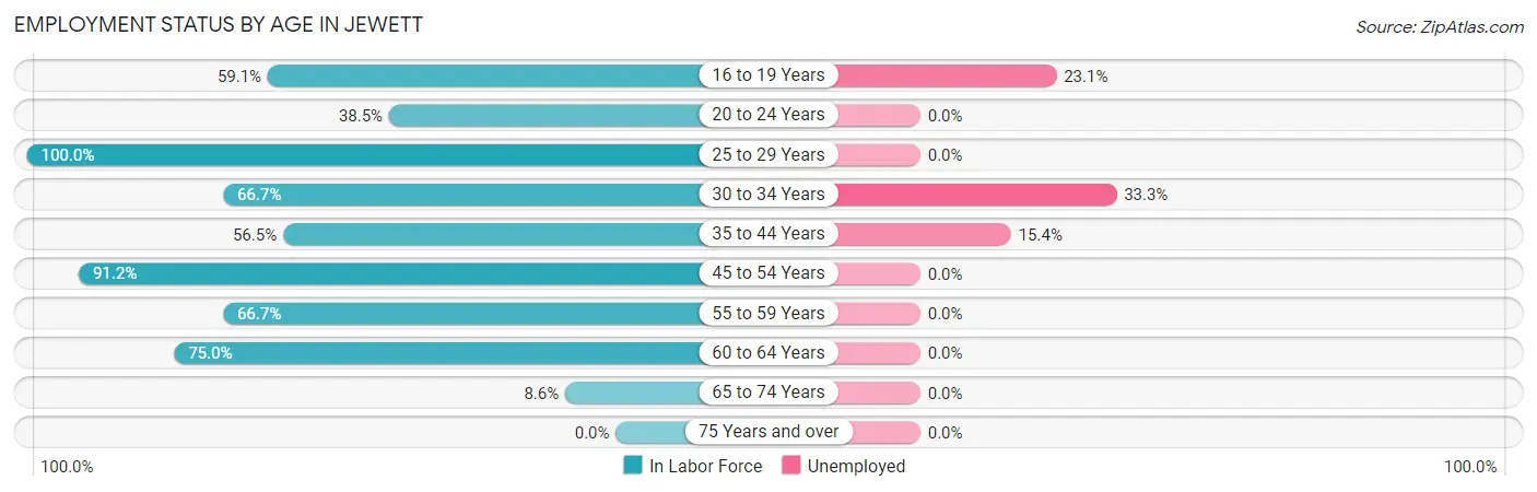 Employment Status by Age in Jewett