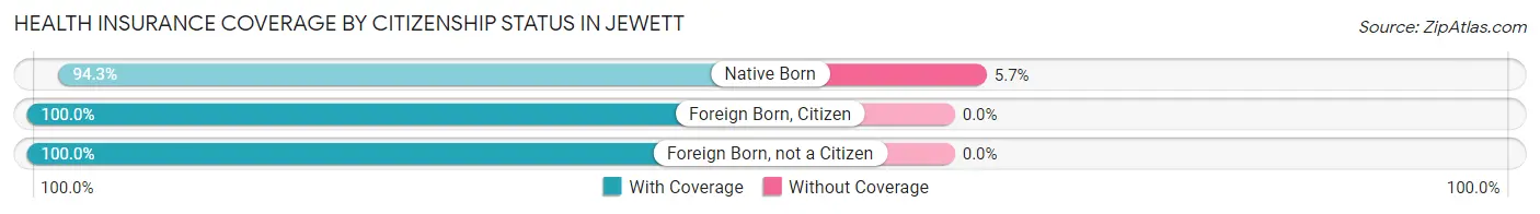 Health Insurance Coverage by Citizenship Status in Jewett