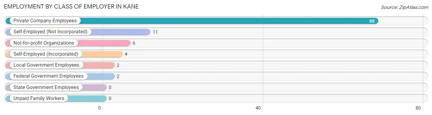 Employment by Class of Employer in Kane