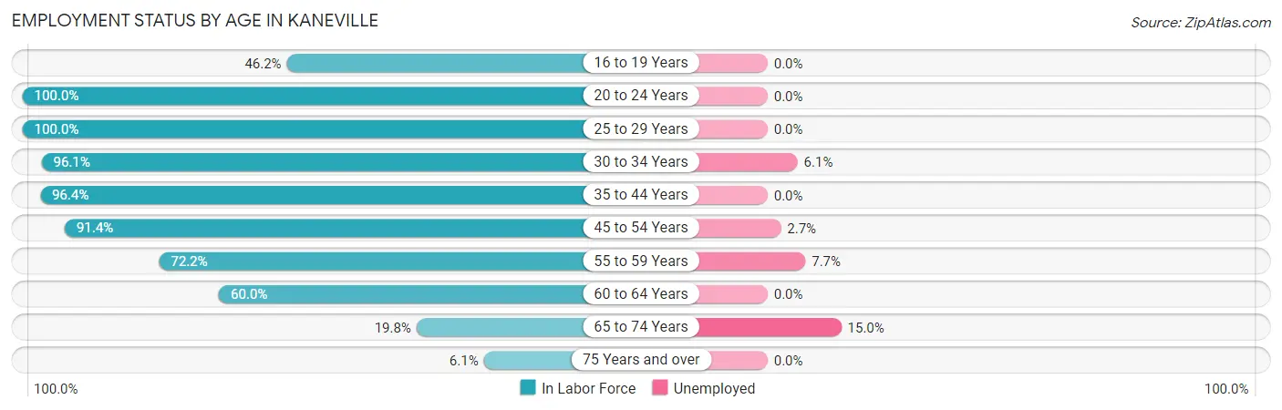 Employment Status by Age in Kaneville