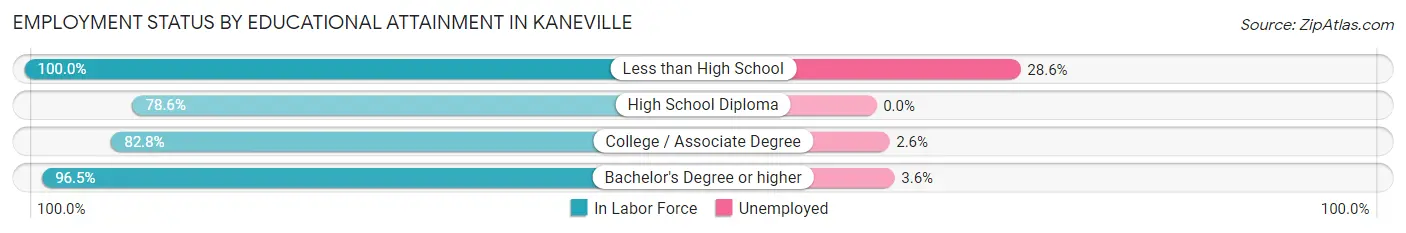 Employment Status by Educational Attainment in Kaneville