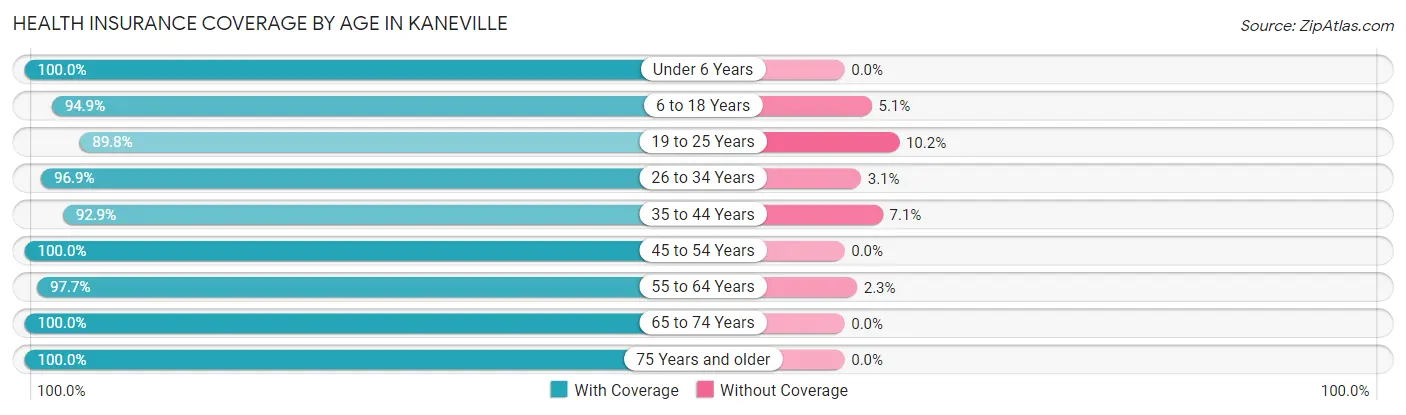 Health Insurance Coverage by Age in Kaneville