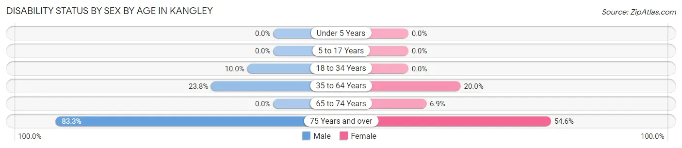 Disability Status by Sex by Age in Kangley
