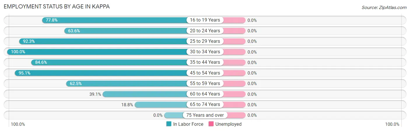 Employment Status by Age in Kappa